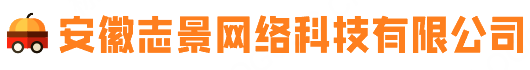 安徽志景网络科技有限公司